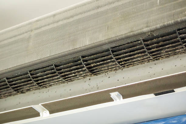Affordable HVAC Duct Cleaning in Biltmore, TN