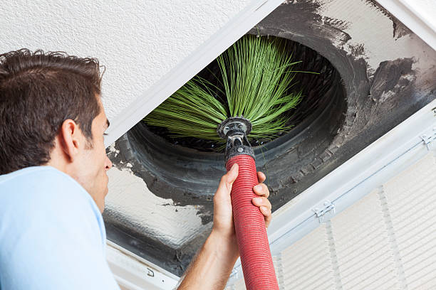 Air Duct Mold Removal in Biltmore, TN